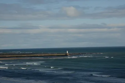 DSC_7226 (Large).JPG